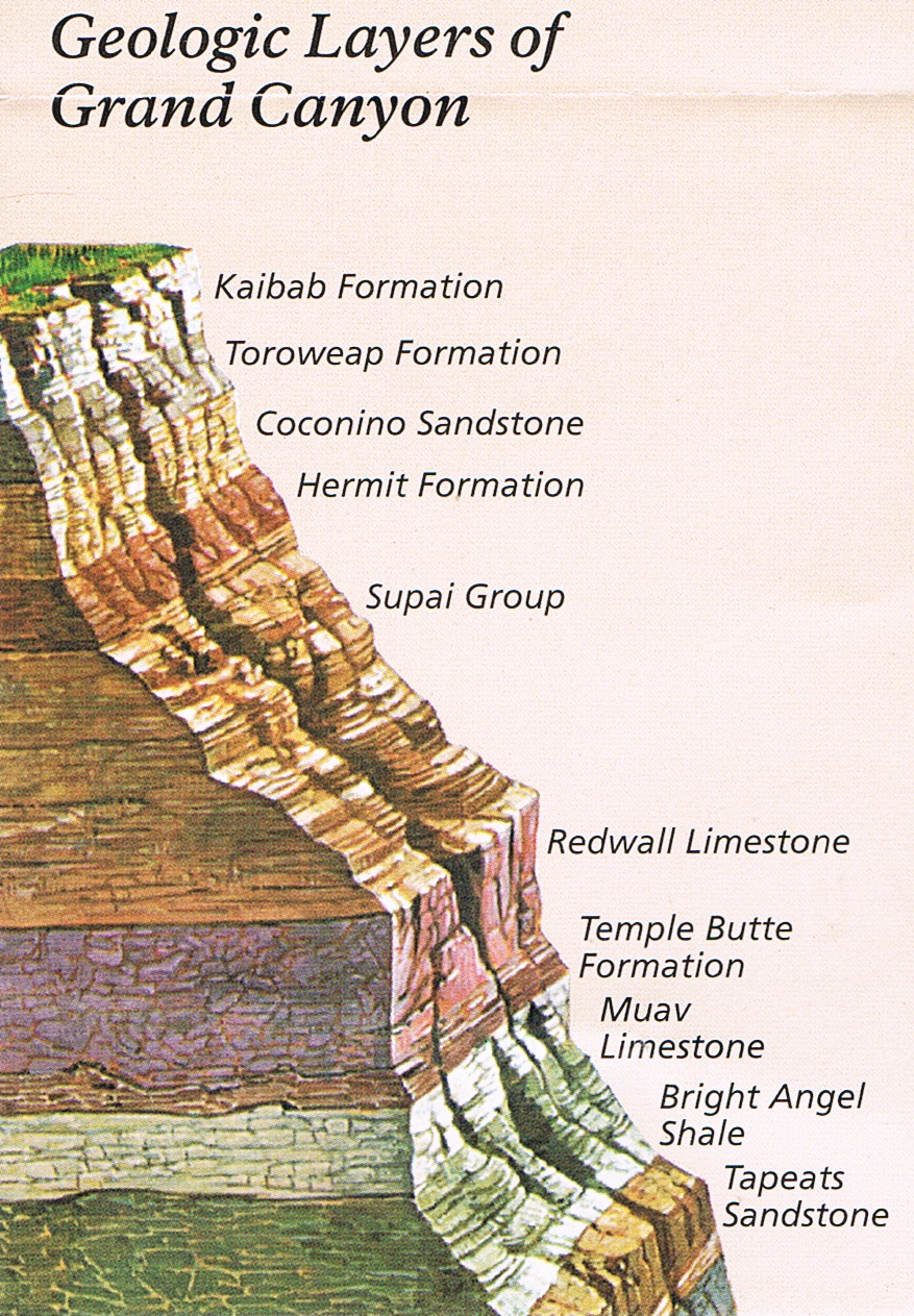 geological-layers-of-grand-canyon.jpeg